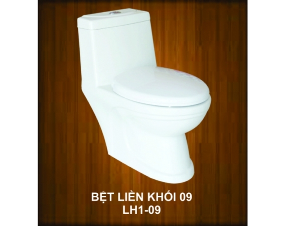 Bàn cầu 1 khối Long Hầu LH1-09