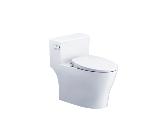 Bồn cầu kèm nắp rửa lạnh CAESAR C1393F + TAF060