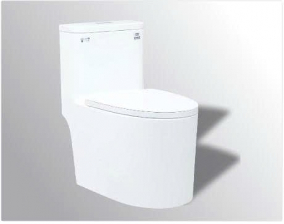 Bồn cầu 1 khối – TS906