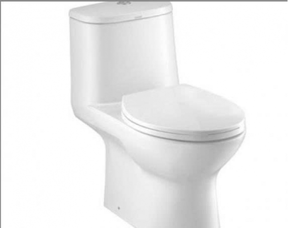 Bồn cầu một khối COTTO C1053