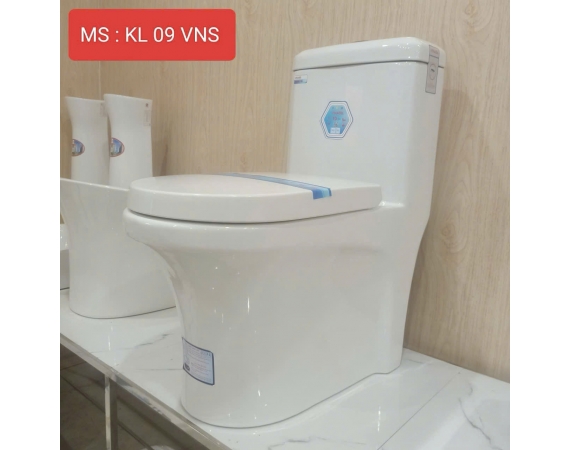 Bồn cầu 1 khối VINASEL LK09VNS