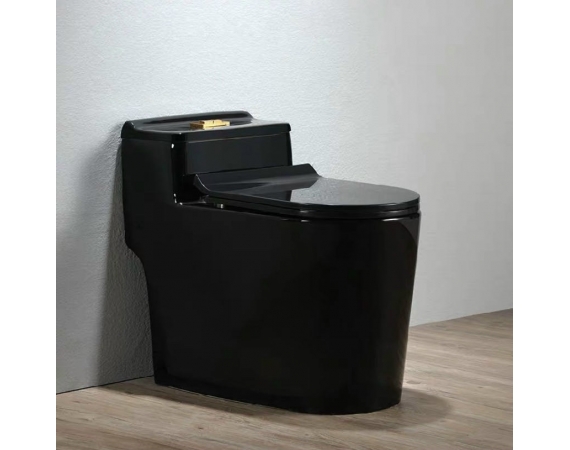 Bồn cầu màu đen HDC24B