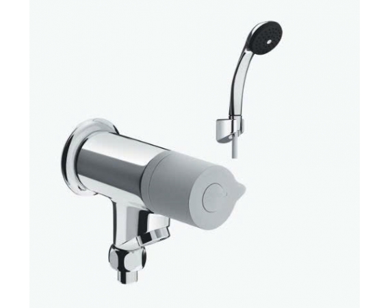 Sen tắm lạnh INAX BFV-10-2C