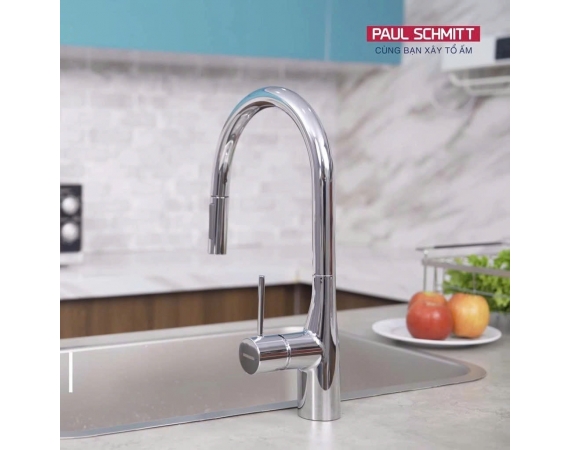 Vòi rửa bát Paul Schmitt PA335K